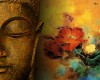 empath buddha wallpaper