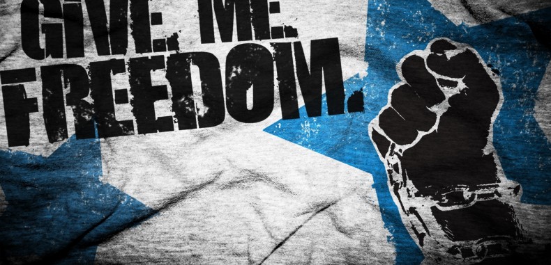 Freedom: Anarchy, Ecstasy Or Licentiousness?