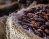 Cacao antioxidants