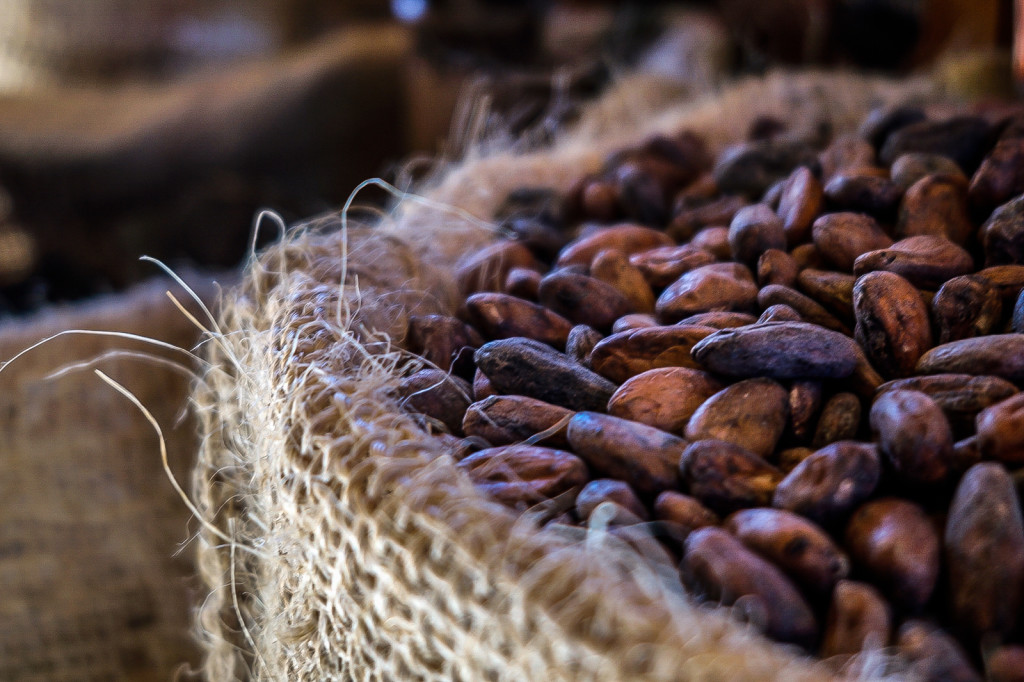 Fight Flu With Cacao — The Antioxidant-Rich Superfood