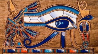 pineal gland