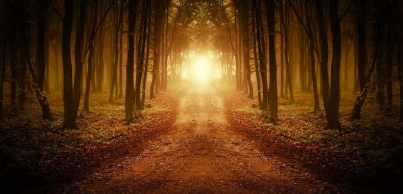 12 Signs That Prove You Are Walking The Highest Path Of Your Purpose