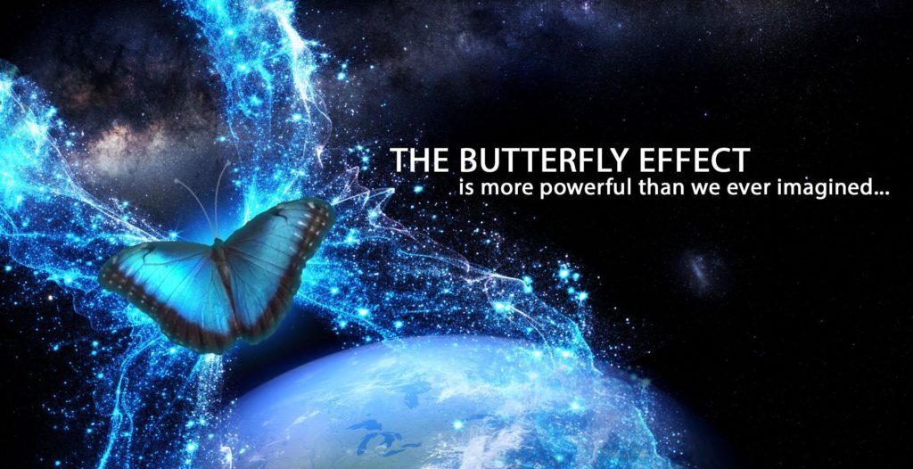 The Butterfly Effect and the Environment: How Tiny Actions Can Save the World